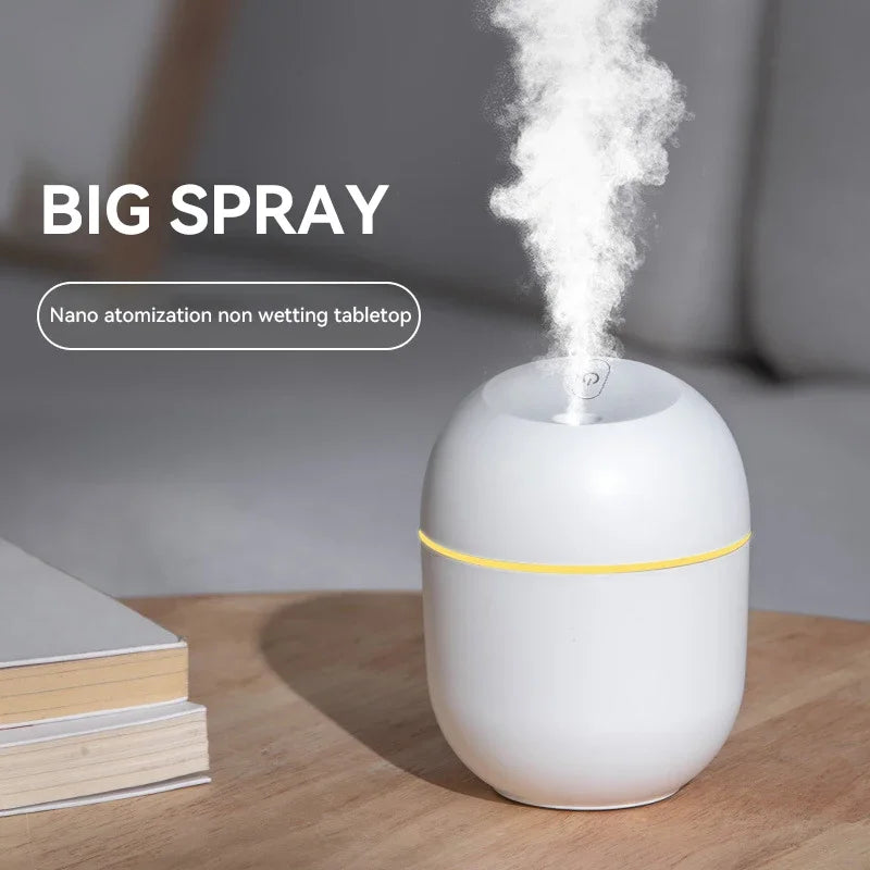 Spray Humidifier