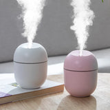 Spray Humidifier